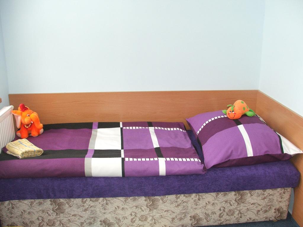 Ala Ubytovani Josefuv Dul Room photo
